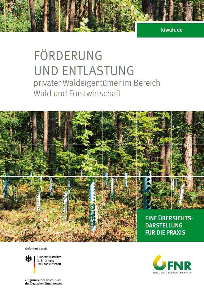 Broschüre zu den Fördermöglichkeiten für Privatwaldbesitzer 